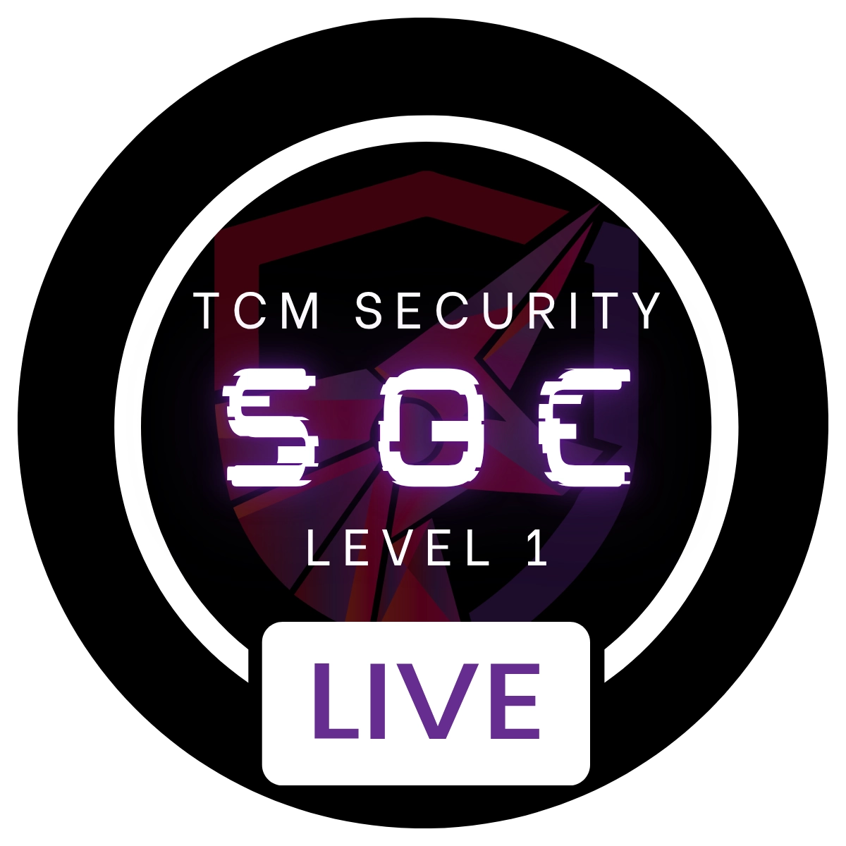 soc level 1 live training