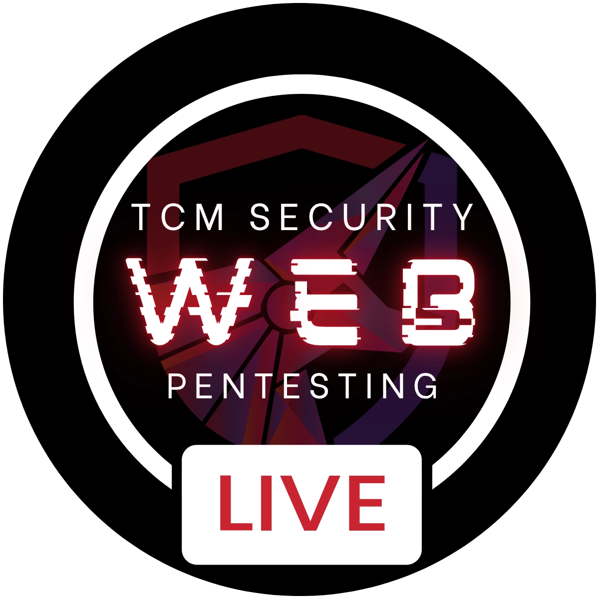 web pentesting live training