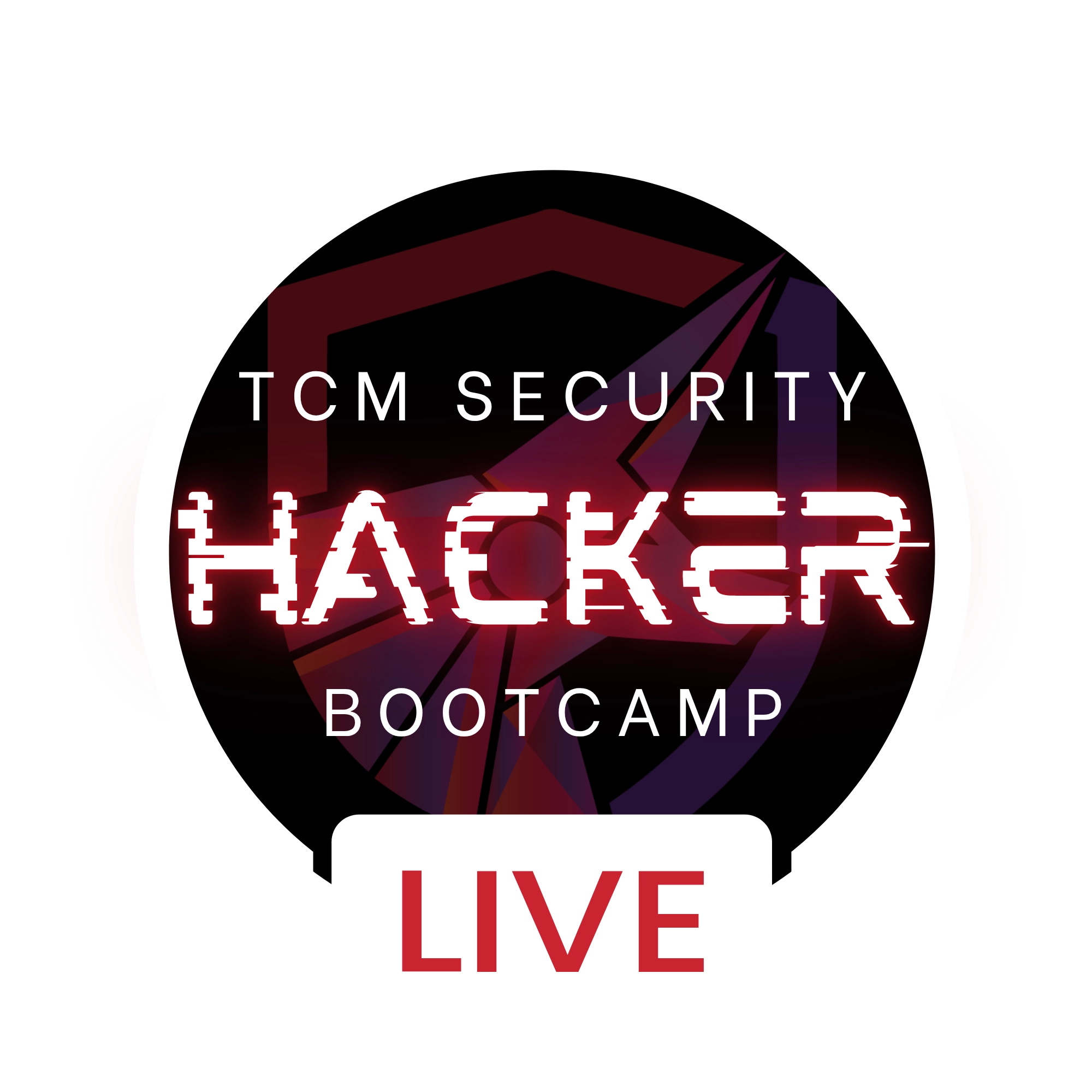 ethical hacker bootcamp